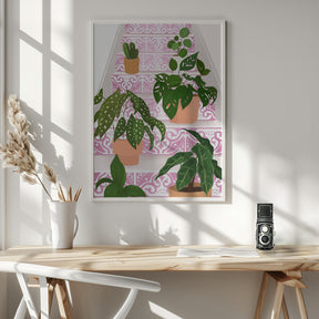 Plants Poster