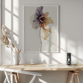 Chiffon Flower Poster