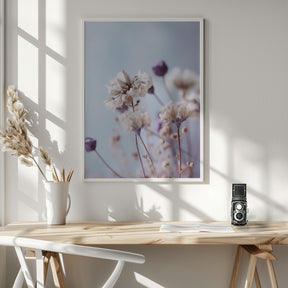 Pastel Dry Flowers No 4 Poster