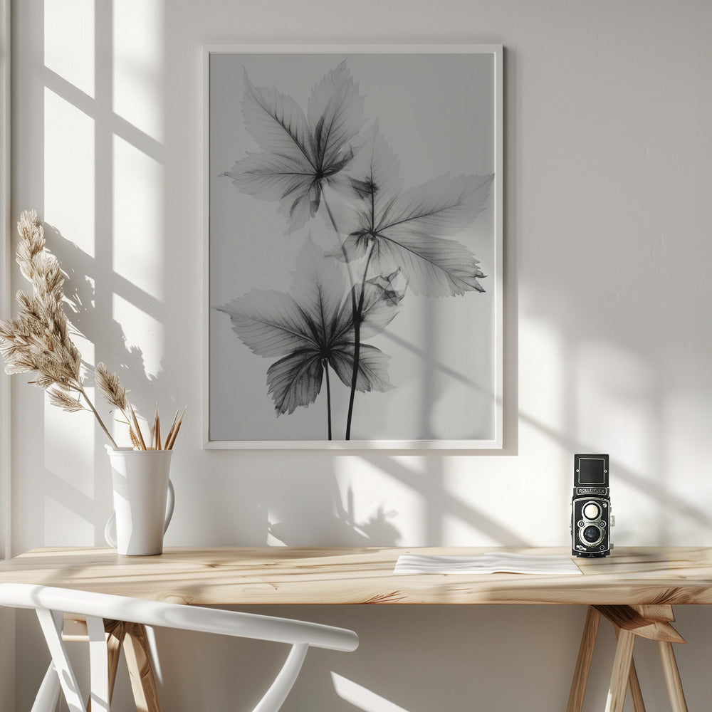 Transparent Botanic No 5 Poster