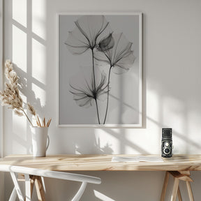 Transparent Botanic No 3 Poster