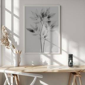 Transparent Botanic No 8 Poster