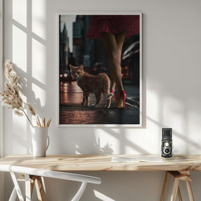 StreetCat Poster