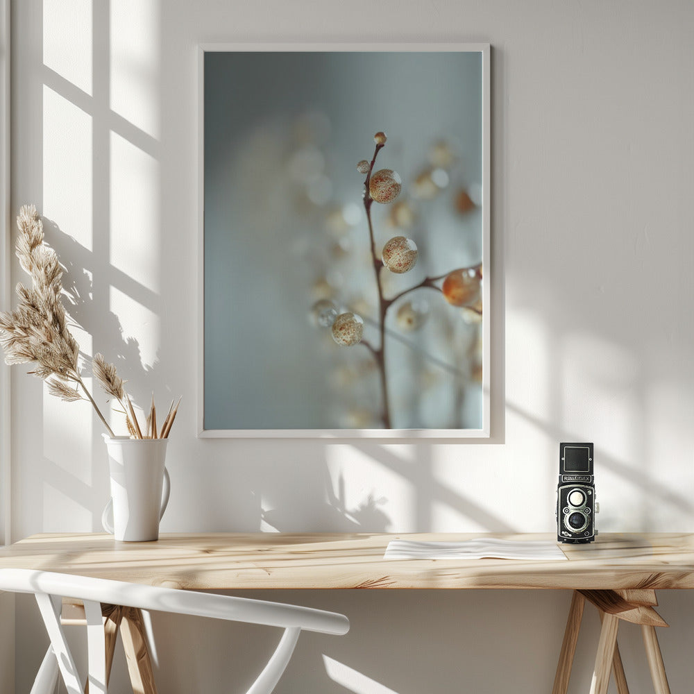 Glassy Berries Poster