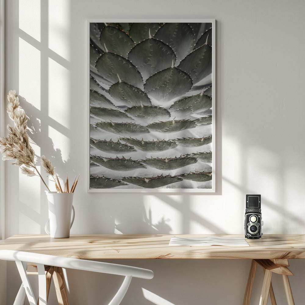 Agave Layers Poster