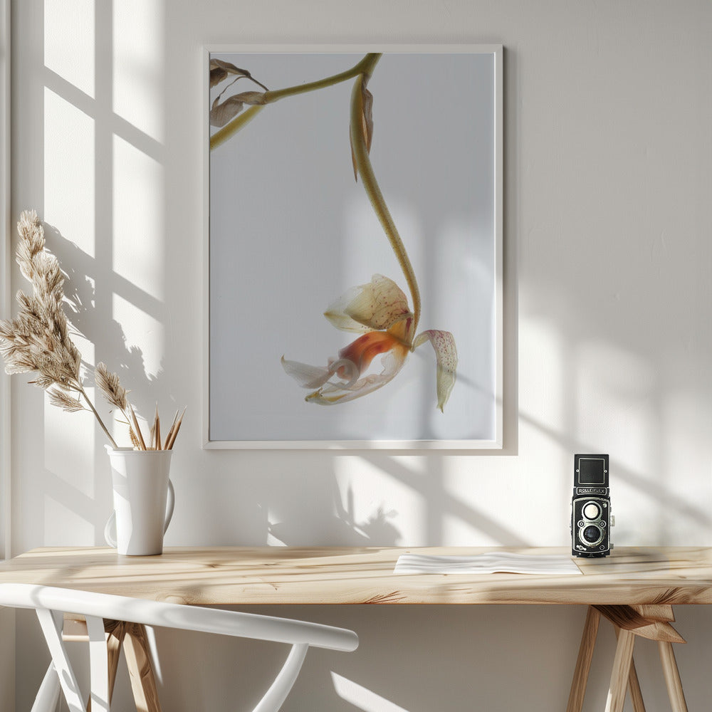 Arch Angle No1 Poster