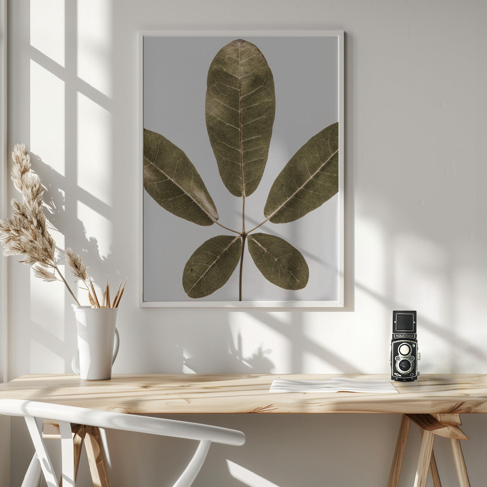 Autum Leaf Poster