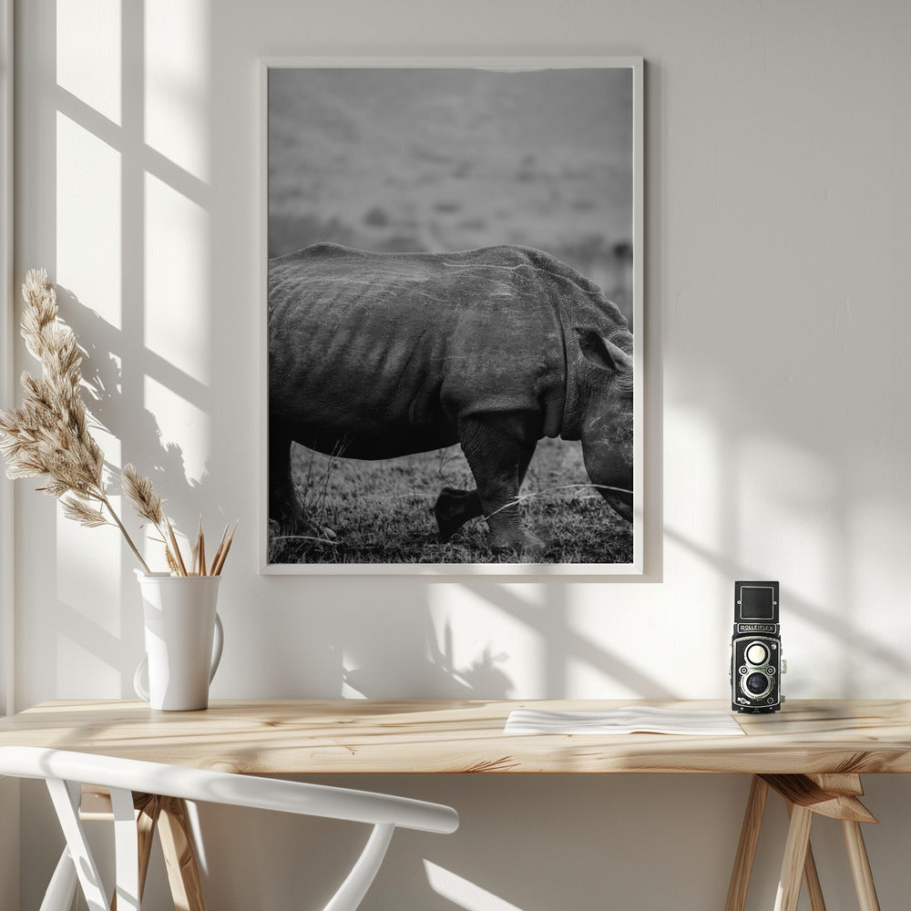 Black Rhino Poster