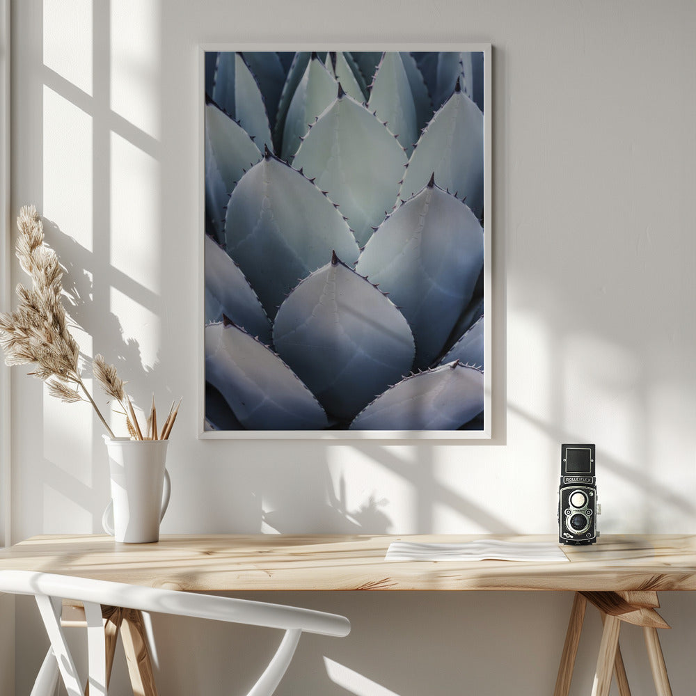 Blue Agave Side Poster