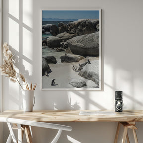 Boulders Beach Poster