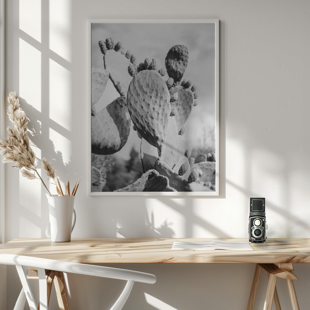 Cacti Cowboy No1 Poster