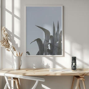 Charming Agave Poster