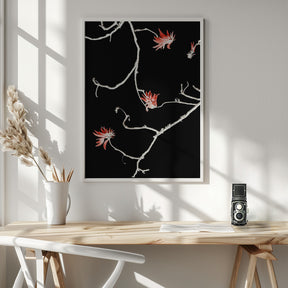 Coral Tree Poster