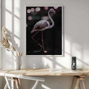 Dancing Flamingo Poster