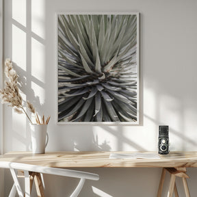 Desert Apple Poster