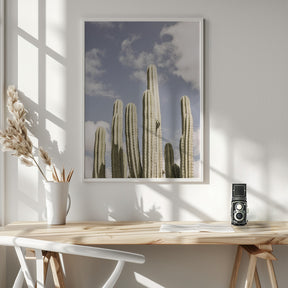 Desert Cathedral No2 Poster