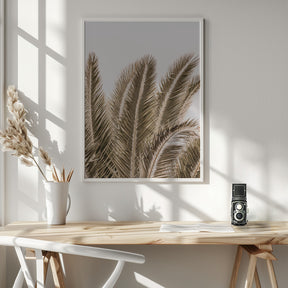 Desert Palm Poster