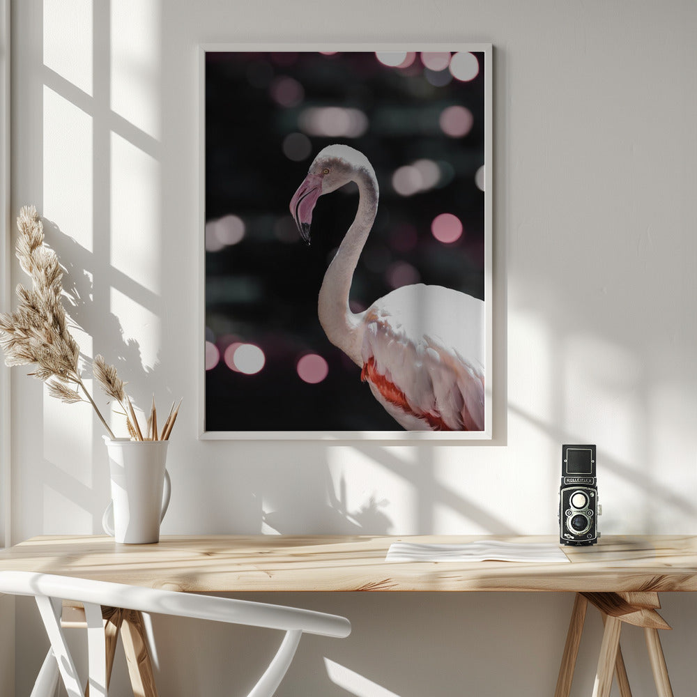 Disco Flamingo Poster