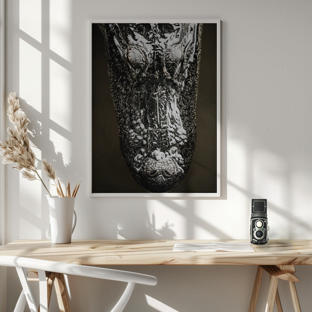 Gator Poster