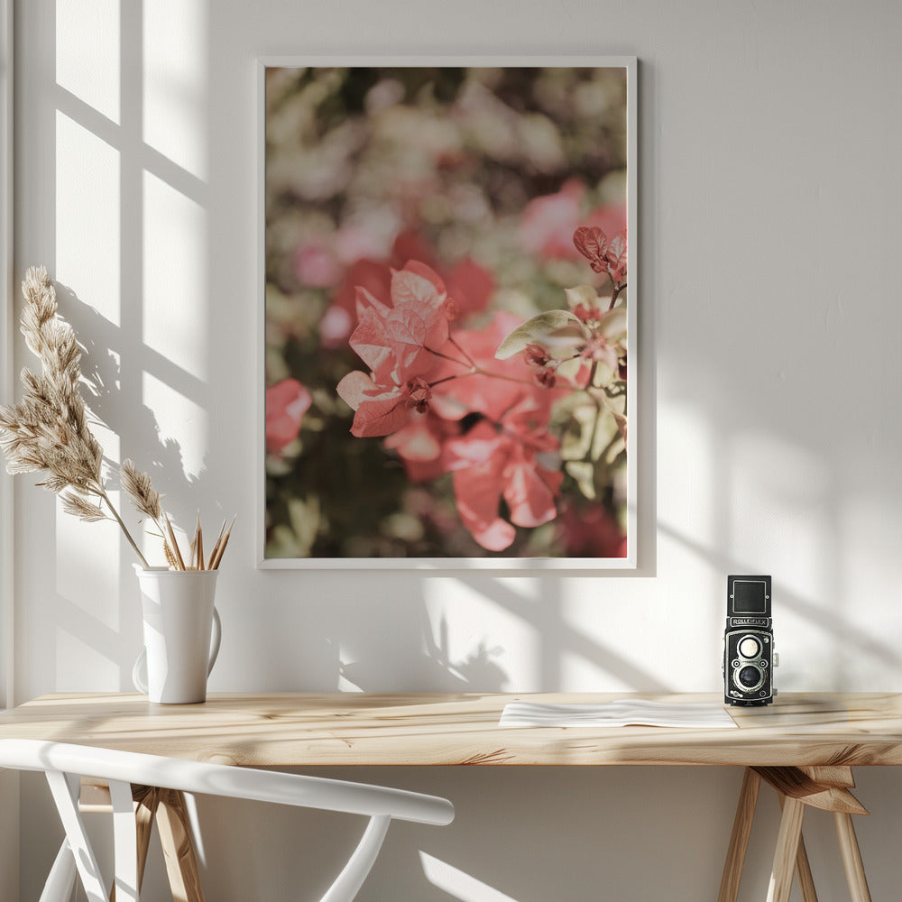 Island Bloom Poster