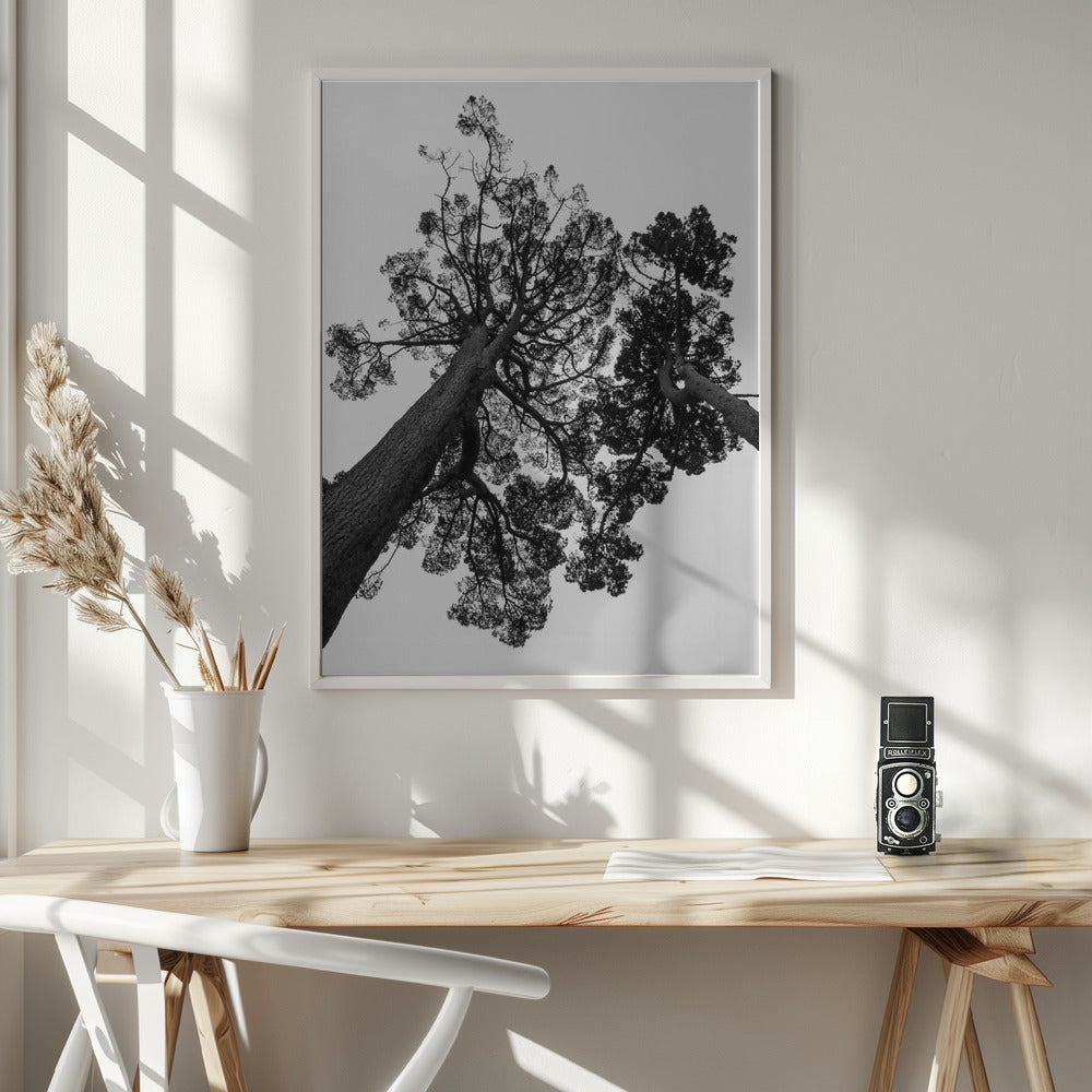 Japanese Garden 02 Poster