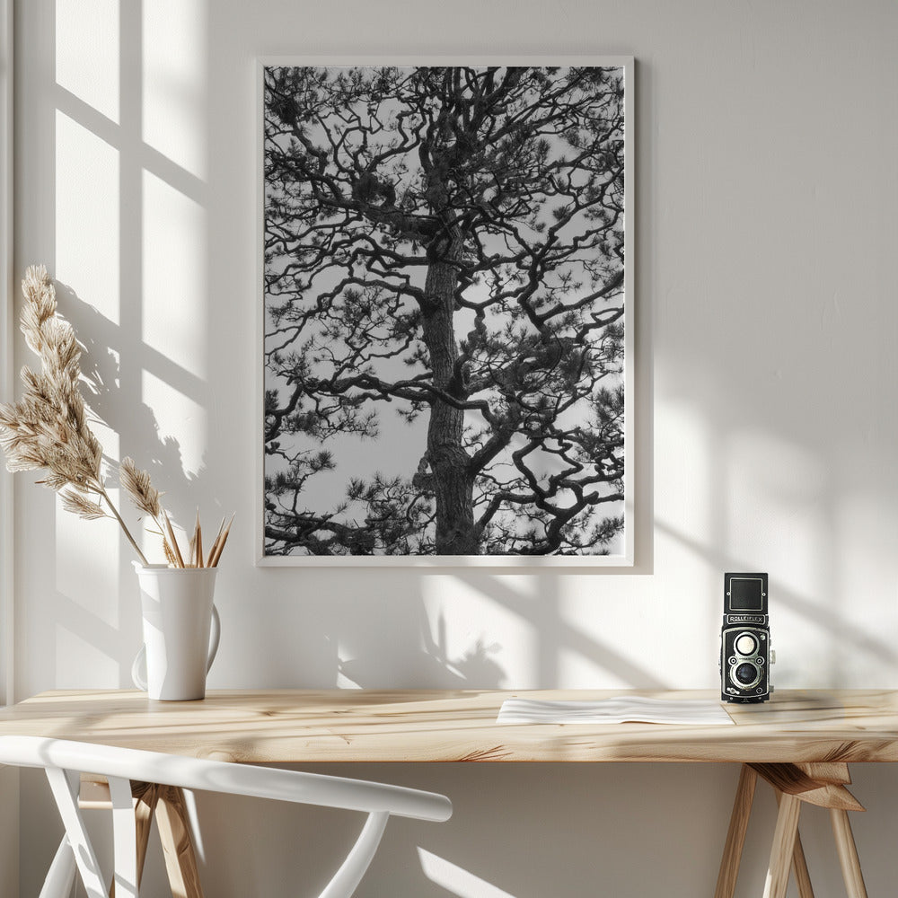 Japanese Garden 03 Poster