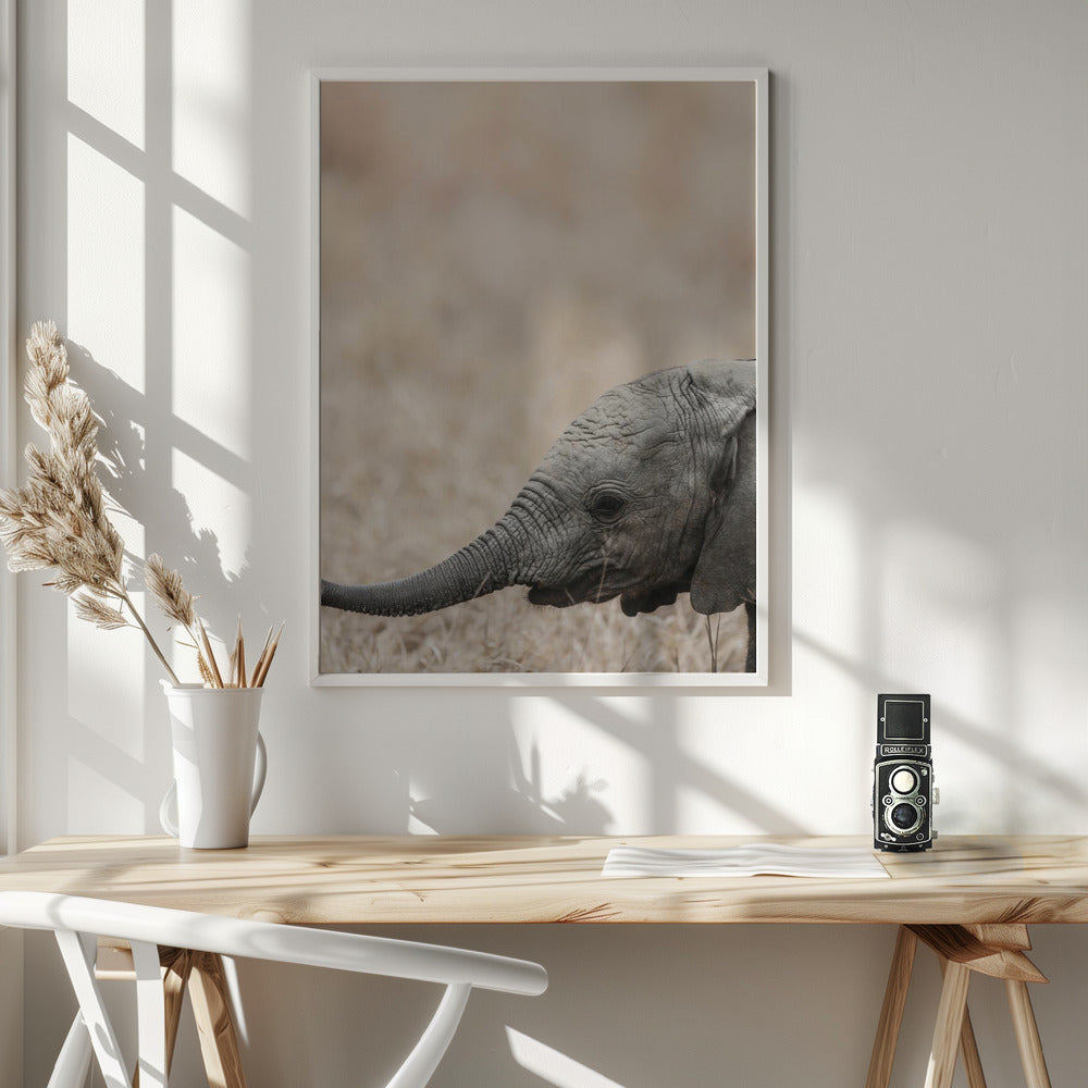 Jellybaby Poster