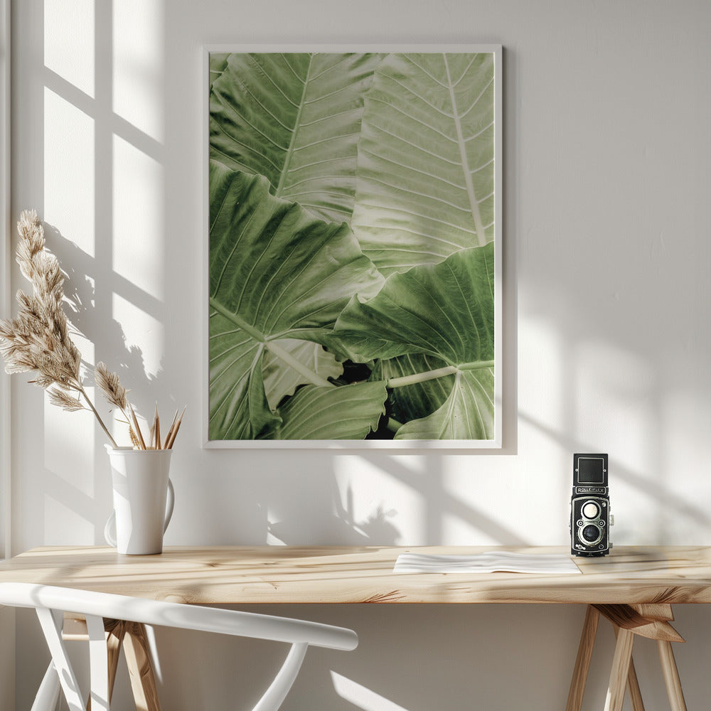 Jungle Fever Poster