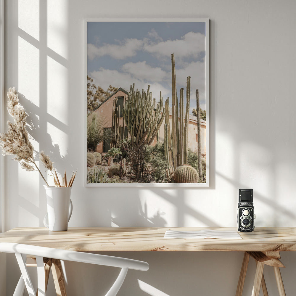 Karoo Garden Poster