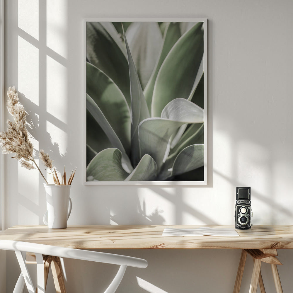 Karro Bloom Poster