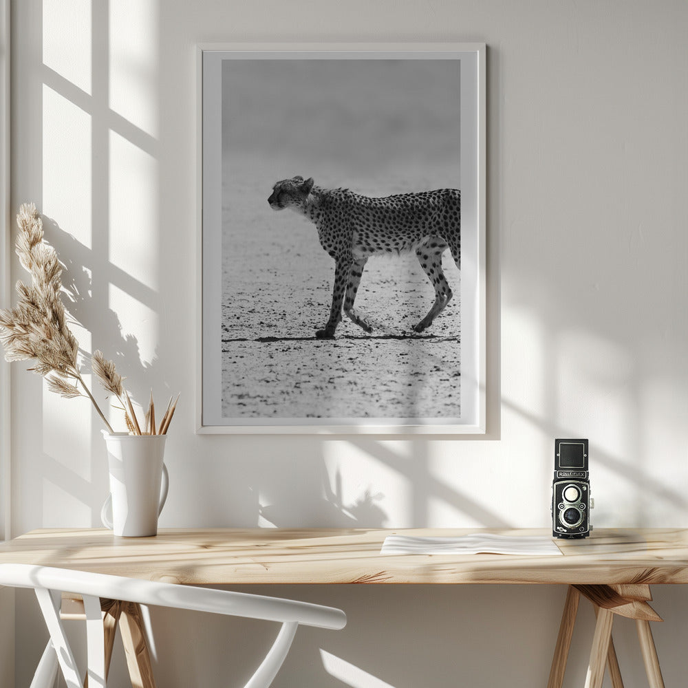 Kitty Kat 02 Poster