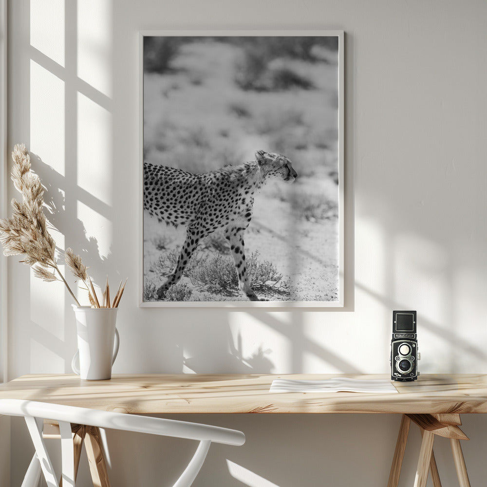 Kitty Kat Poster
