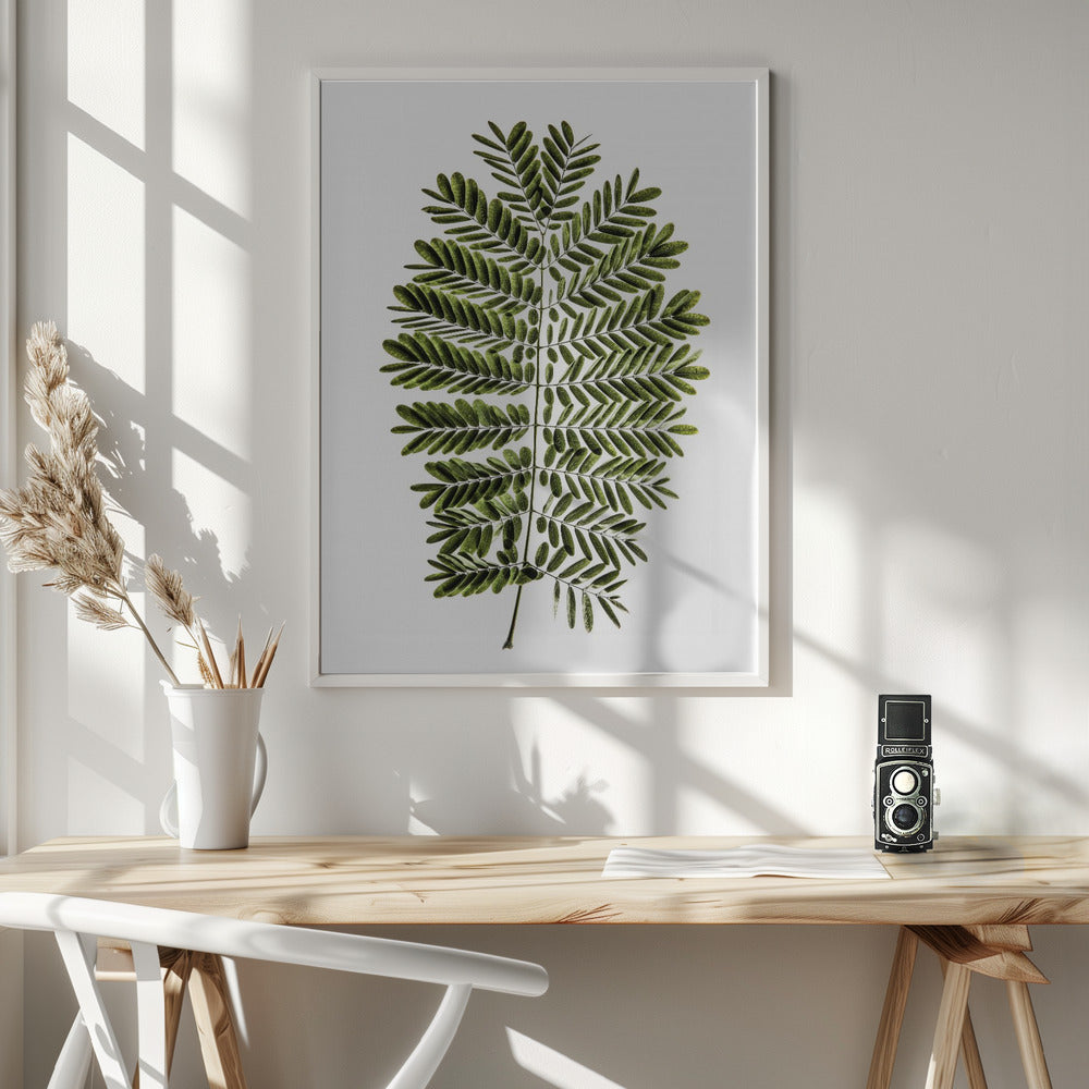 Leaf Study 02 Poster
