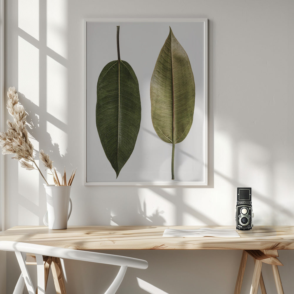 Leaf Study 05 Poster
