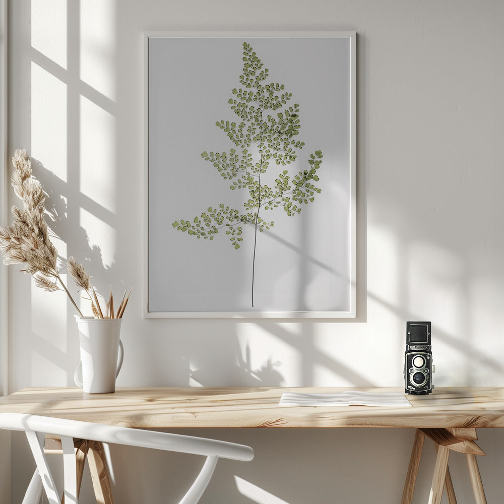 Leaf Study 06 Poster