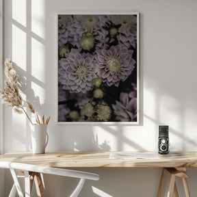 Lilium Poster