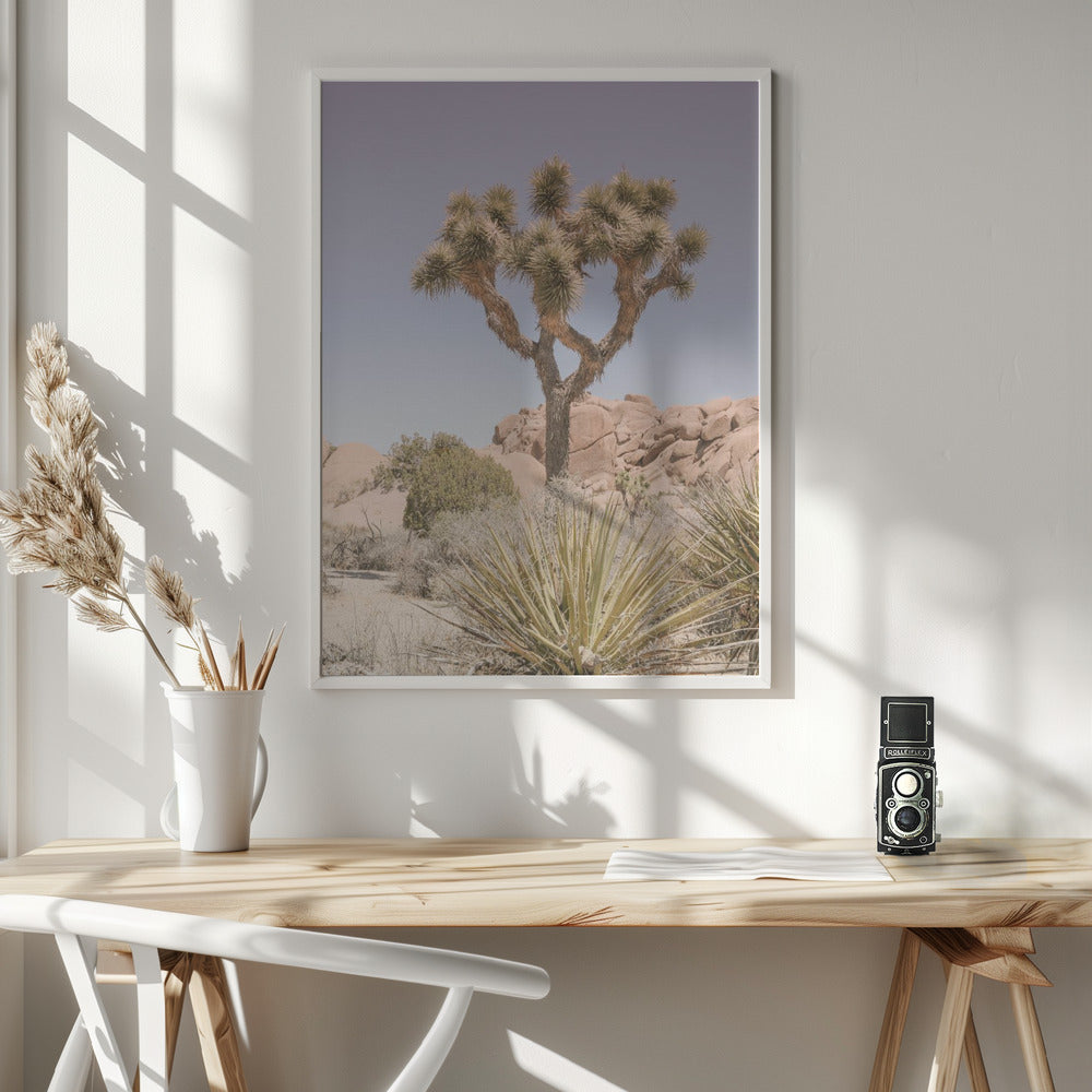 Mojave Desert Poster