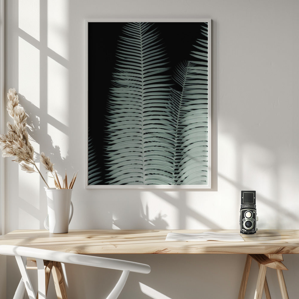 Palm Leaf Poster