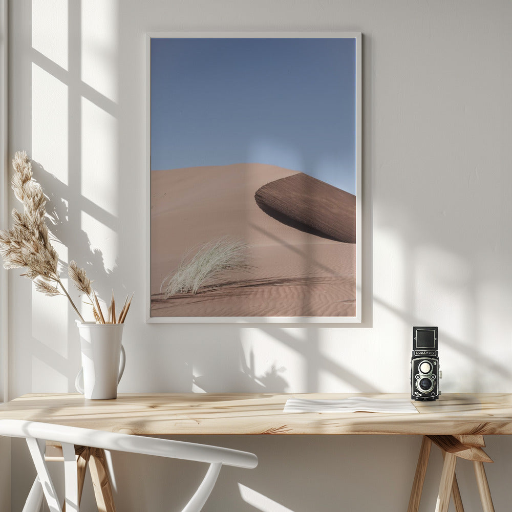 Namib Two Poster