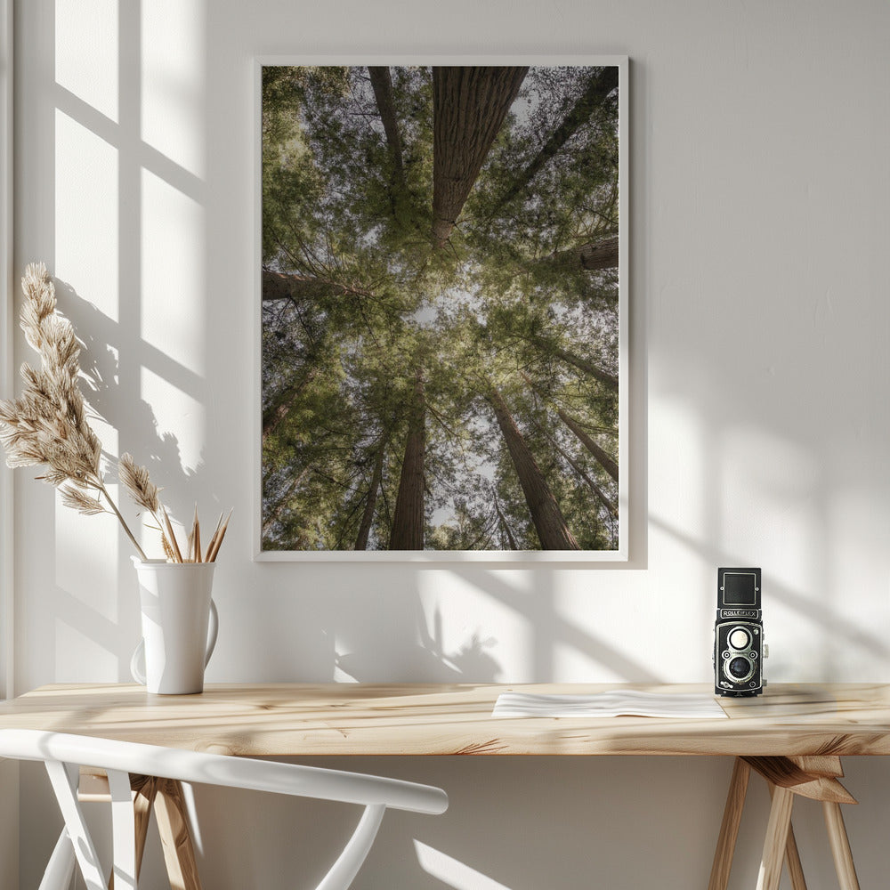 Reedwood Forest Poster