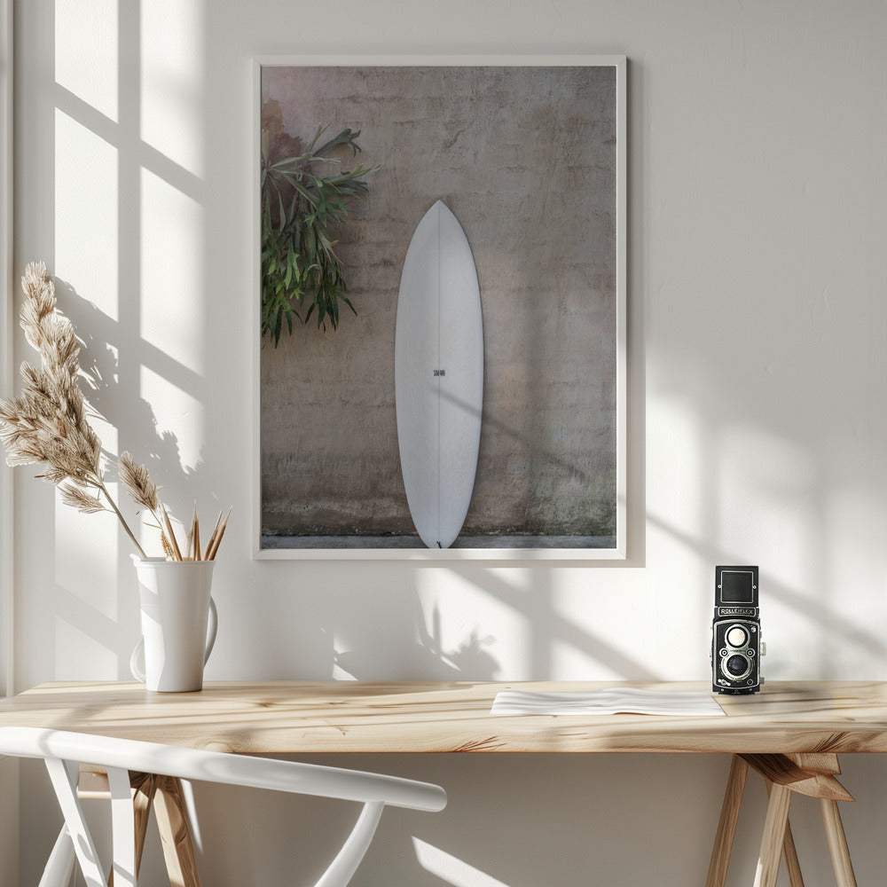 Safari Twinfin Poster