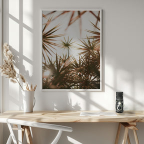 Starlight Palm Tree Poster