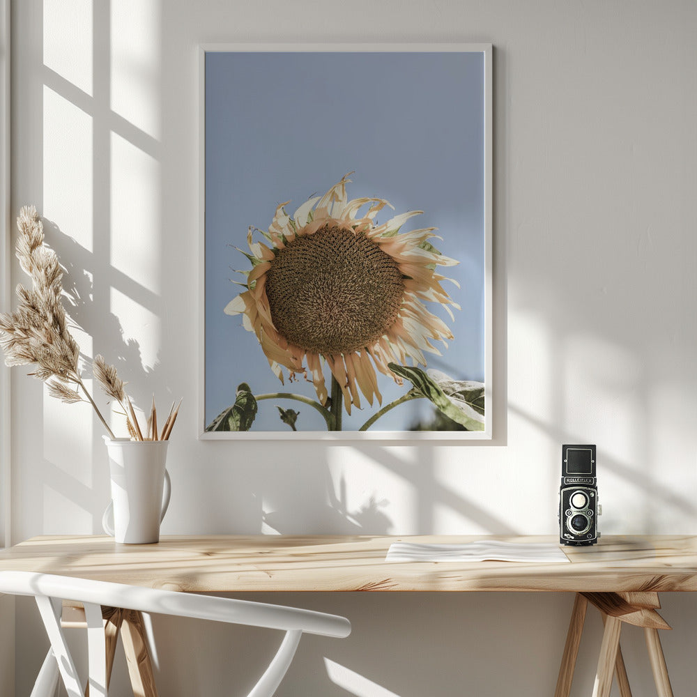 Sunny Bloom Poster