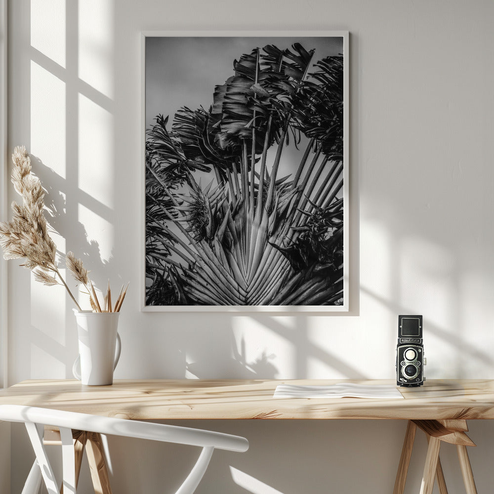 Tropical Dancer Poster