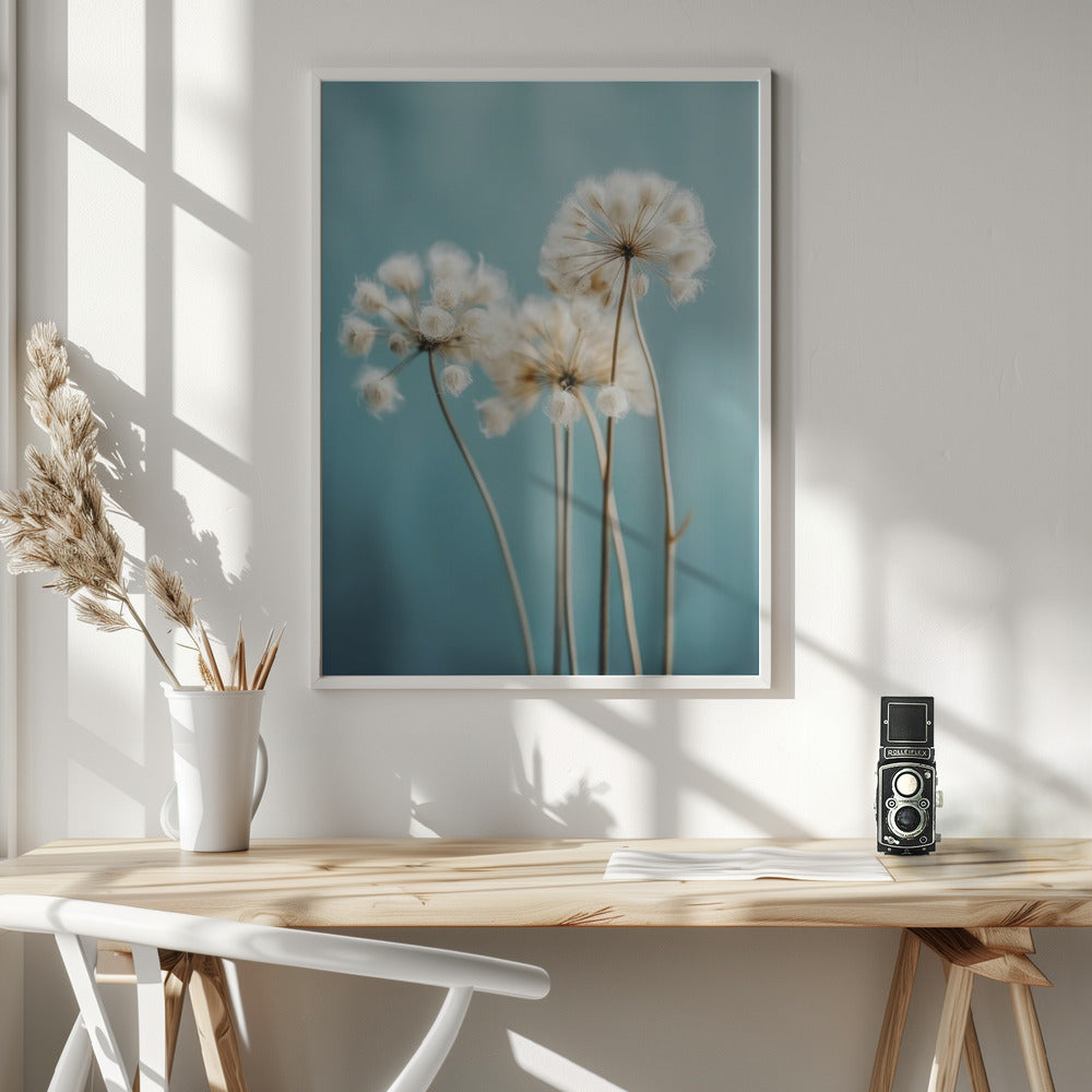 Fluffy Flowers Poster