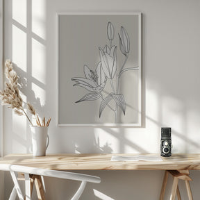 Line art lillies in beige Poster