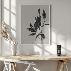 Line art lillies in black Poster