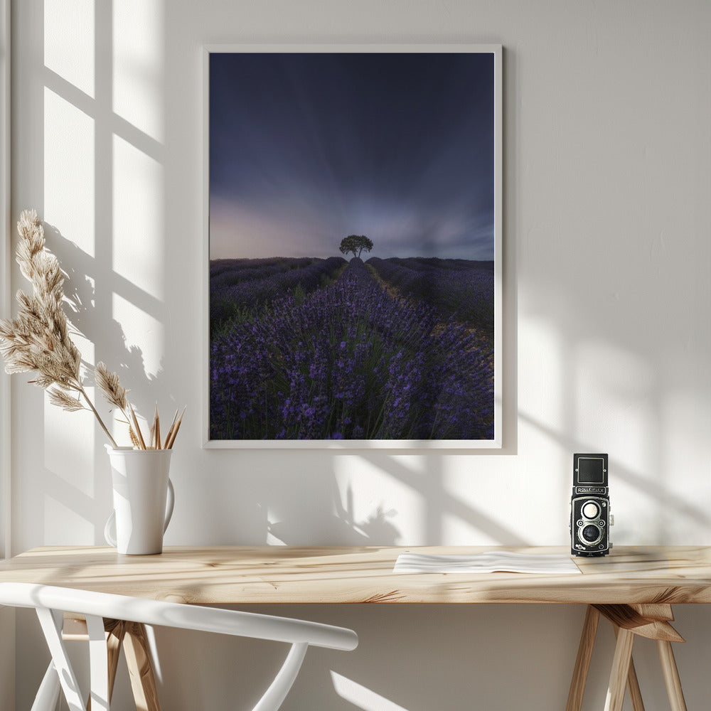 The tree and the lavender Poster