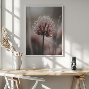 Pastel Nature Macro No 4 Poster