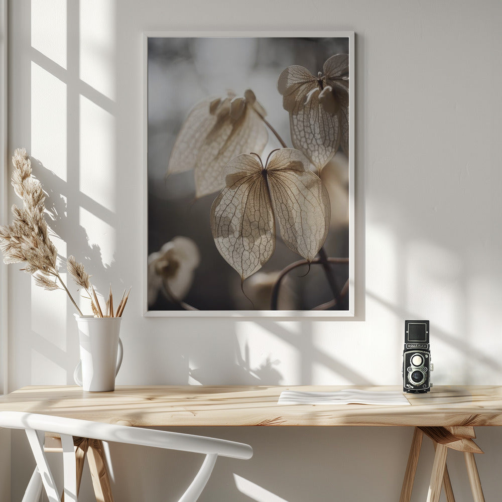 Butterfly Flower Poster